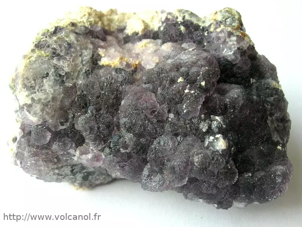 Fluorine violette de Maine dans le Morvan (France)