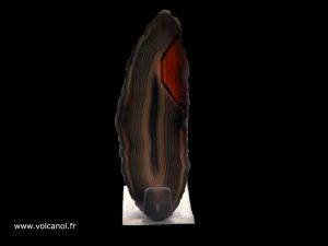 Agates en tranche (provenances diverses)