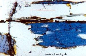 Amphibole bleue variété Glaucophane (vue au microscope polarisant)