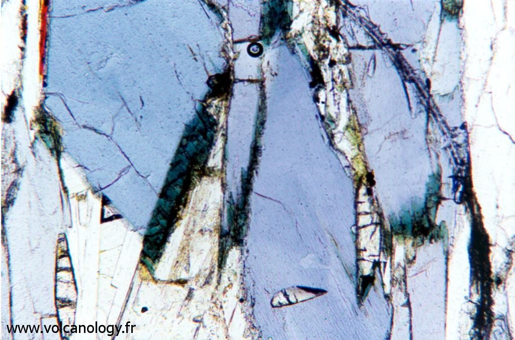 Seconde amphibole bleue variété Glaucophane (vue au microscope polarisant - Schistes bleus de l'Ile de Groix France)