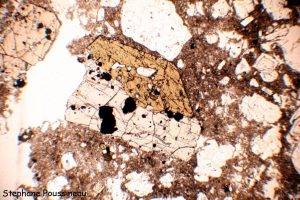 Cummingtonite (vu au microscope polarisant)