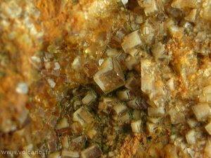 Fluorine de La Barre dans le Puy de Dôme (63, France)