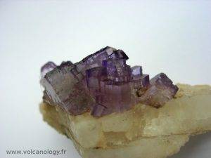 Fluorine violette sur barytine de Musquiz (Mexique)