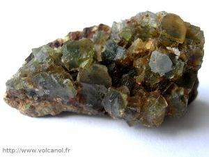 Fluorine verte de la Chaume dans le Morvan (France)