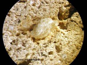 Plagioclase (vu à la loupe binoculaire)