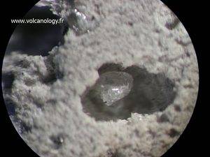 Plagioclase (vu à la loupe binoculaire)