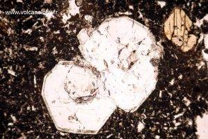 Plagioclases (vu au microscope polarisant)