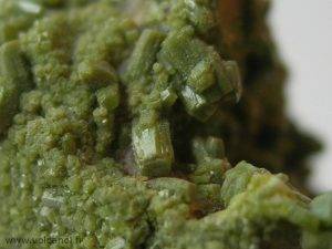Pyromorphite d'Asprières (12 Aveyron)