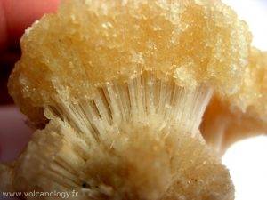 Scolécite et calcite miel d'Inde