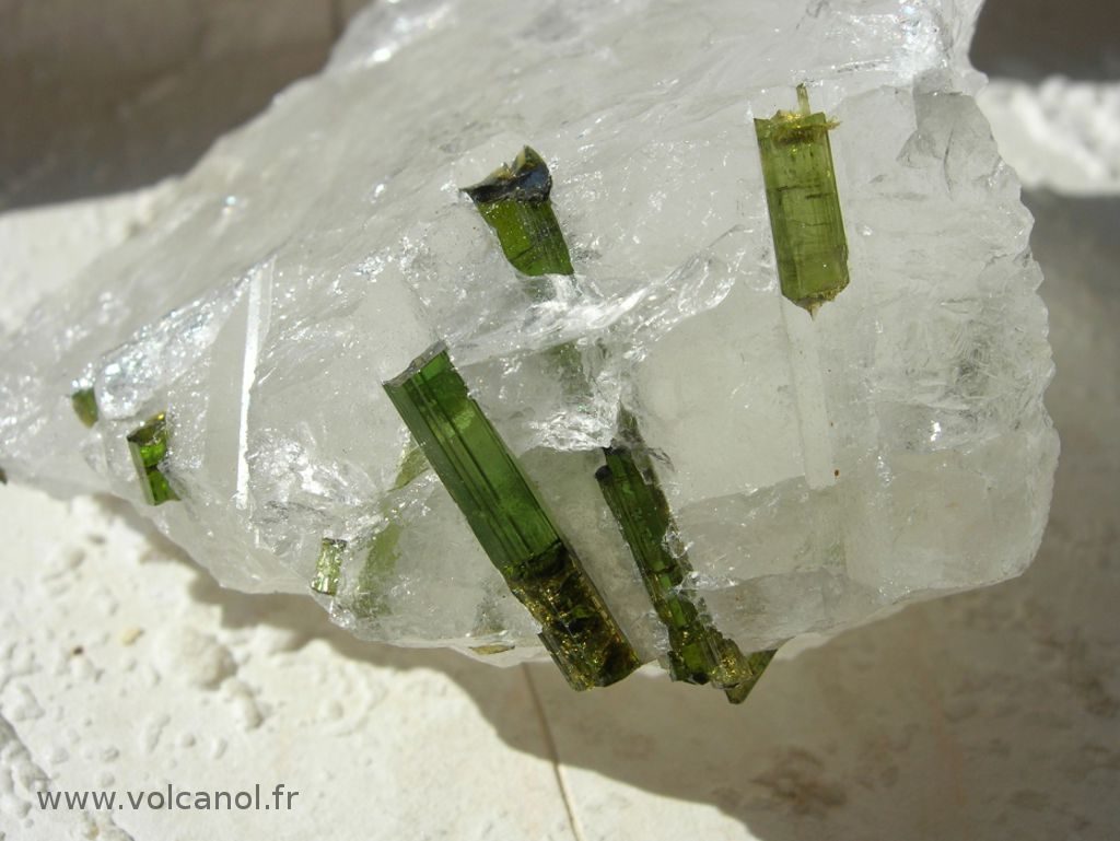 Détail de cristaux de verdelite (tourmaline verte variété Elbaite) sur quartz - Minas Gerais Brésil