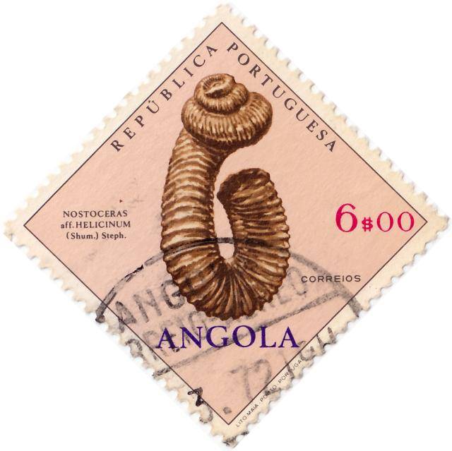Nostoceras Helicinum - 1970