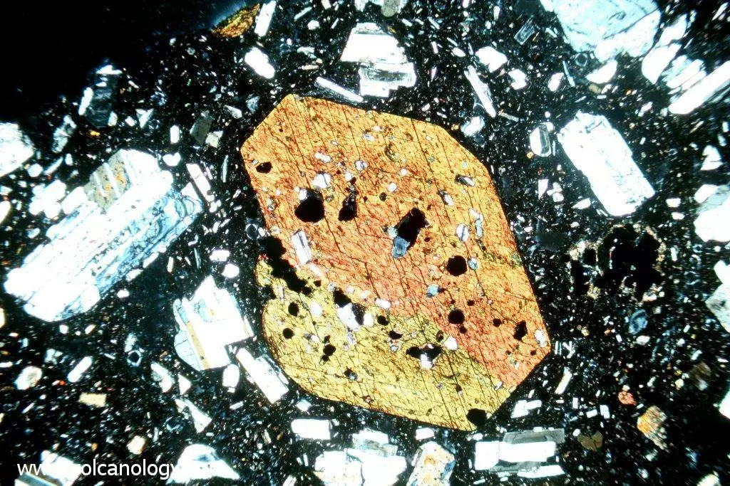 Amphibole brune variété Hornblende (vue au microscope polarisant)