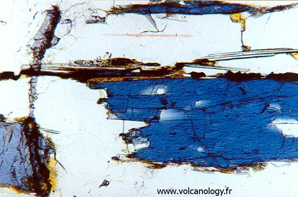 Amphibole bleue variété Glaucophane (vue au microscope polarisant)