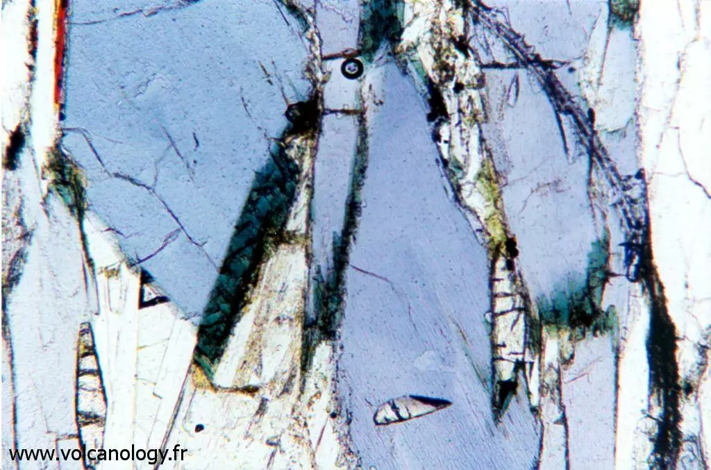 Amphibole bleue variété Glaucophane (vue au microscope polarisant)