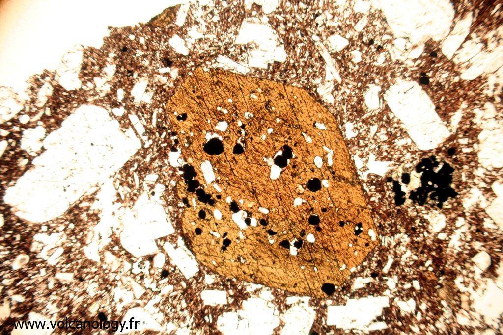 Amphibole brune variété Hornblende (vue au microscope polarisant)