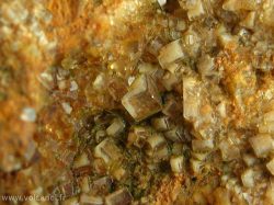 Fluorine de La Barre dans le Puy de Dôme (63, France)