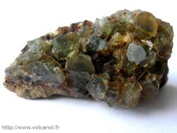 Fluorine verte de la Chaume dans le Morvan (France)