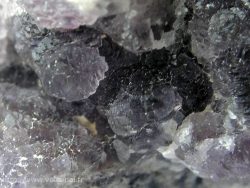 Fluorine violette de Maine dans le Morvan (France)