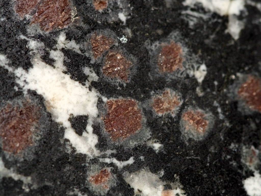 Eclogite rétromorphosée dans le faciès des granulites (Chine)