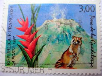 Le Parc de la Guadeloupe et de dôme de la Soufrière de Guadeloupe