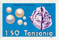 Perle de Tanzanie