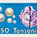 Perle de Tanzanie